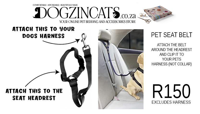 Pet seat belt