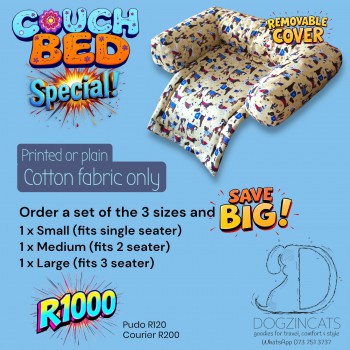 Couch bed special