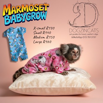 Marmoset clothing