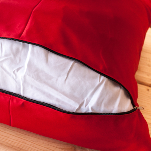Insert Pillow into opening