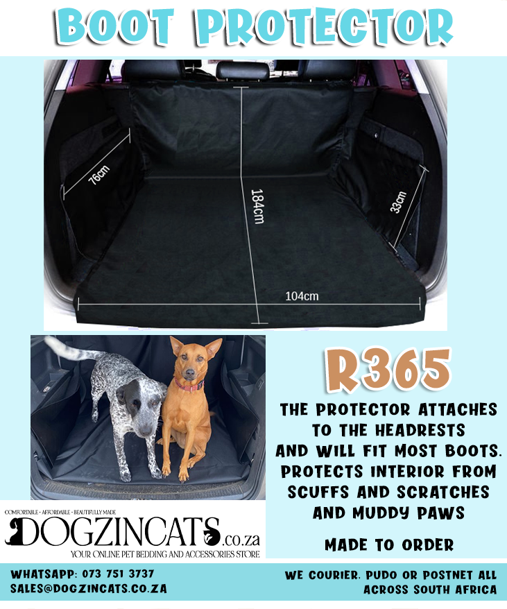 Boot protector