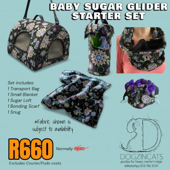 Baby Sugar Glider Starter Set