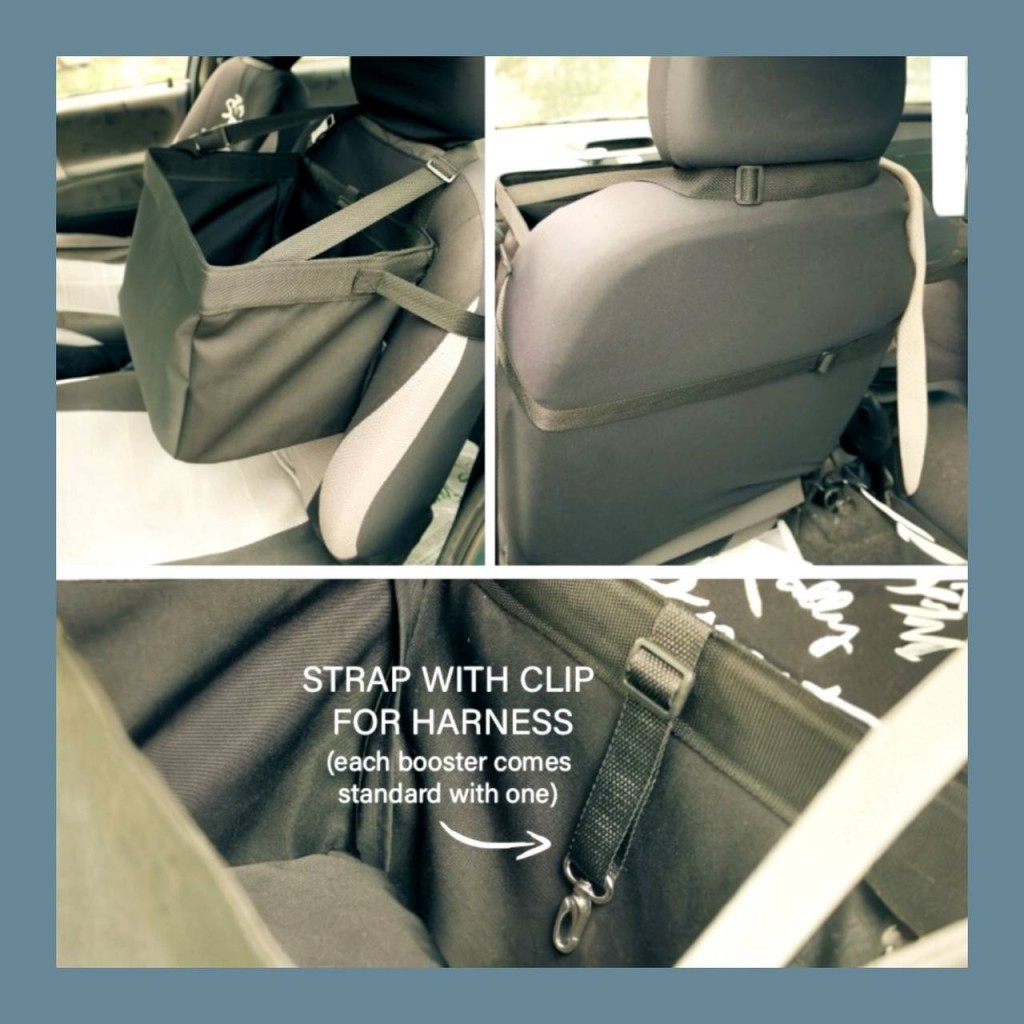 dog booster pet car seat