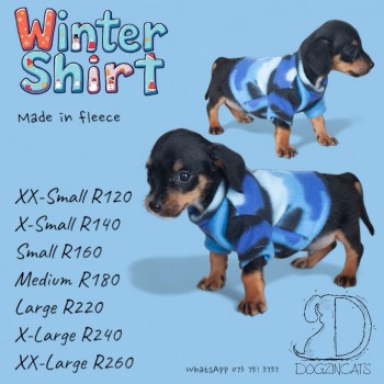 wintr shirt
